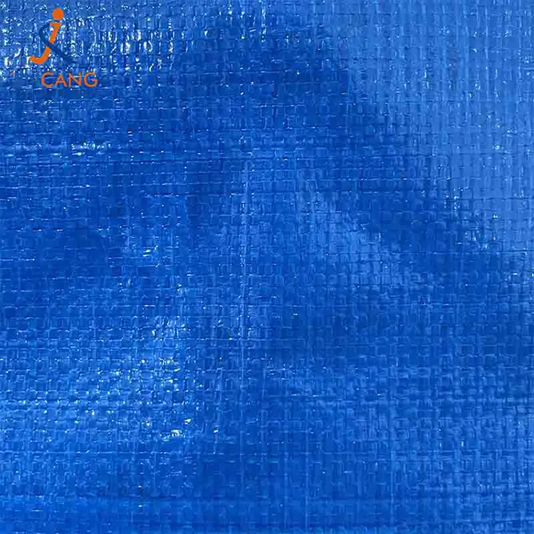 Изключително големи движещи се торбички