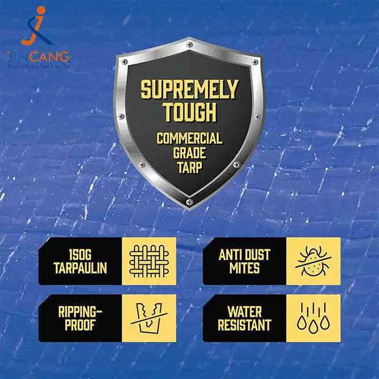 Водоустойчива чанта за матрак PE