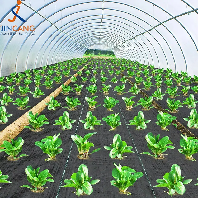 PP изтъкана мат за плевели